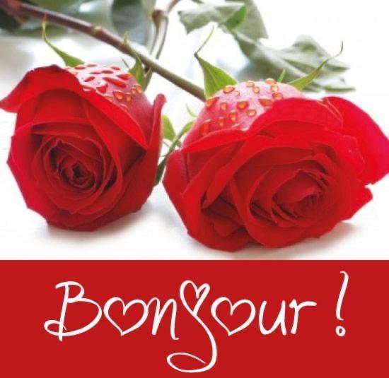 דירות La Marine Louannec מראה חיצוני תמונה